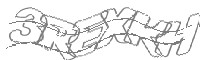 Check code